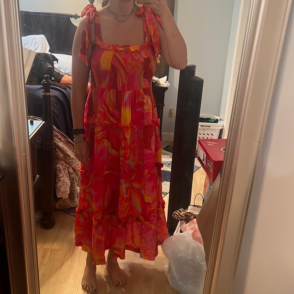 Britton Court NWT dress